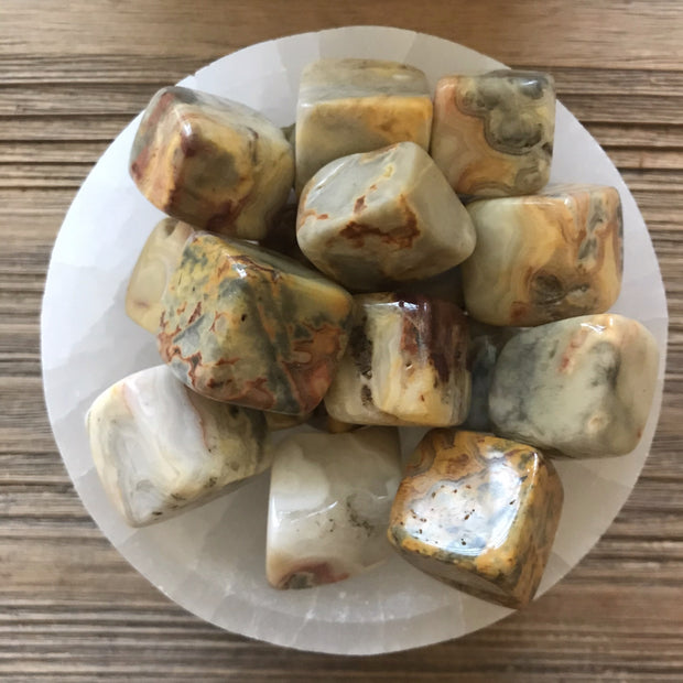 Crazy Lace Agate Cubes