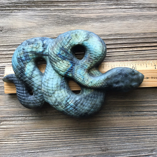 Lab Snake